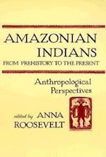 Amazonian Indians from Prehistory to the Present