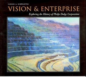 Vision and Enterprise