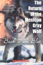 Return of the Mexican Gray Wolf