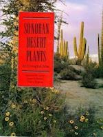SONORAN DESERT PLANTS