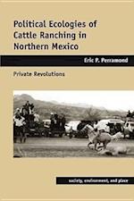 Political Ecologies of Cattle Ranching in Northern Mexico