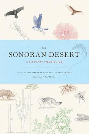 The Sonoran Desert