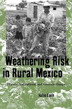 Weathering Risk in Rural Mexico