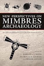 New Perspectives on Mimbres Archaeology
