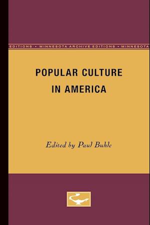 Popular Culture in America