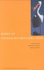 Birds Of Voyageurs National Park