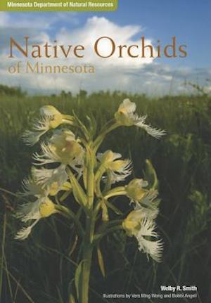 Native Orchids of Minnesota