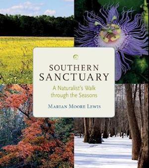 Lewis, M:  Southern Sanctuary