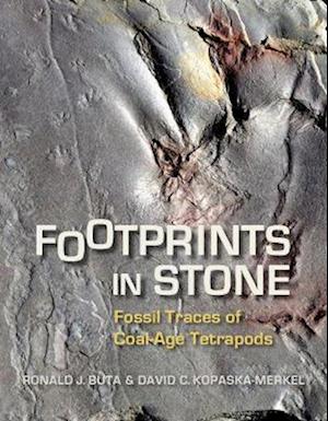 Footprints in Stone