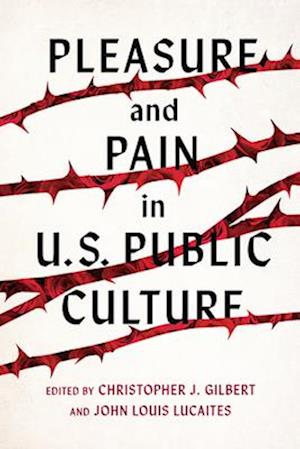 Pleasure and Pain in Us Public Culture