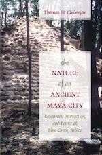 Nature of an Ancient Maya City
