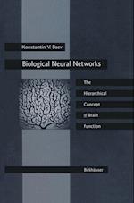 Biological Neural Networks: Hierarchical Concept of Brain Function