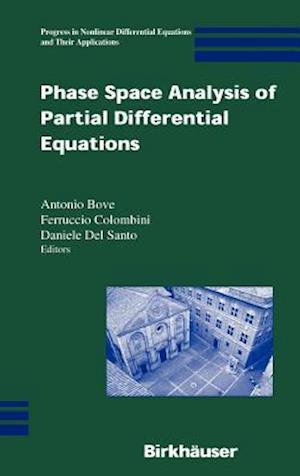 Phase Space Analysis of Partial Differential Equations