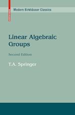 Linear Algebraic Groups