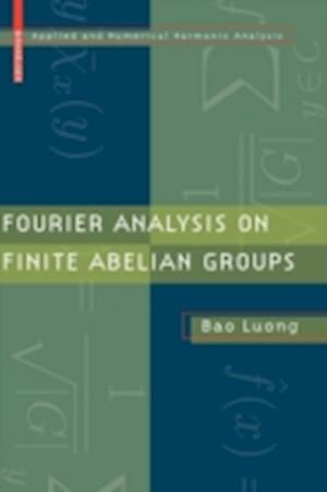 Fourier Analysis on Finite Abelian Groups