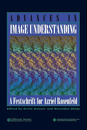 Advances in Image Understanding