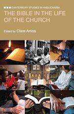 The Bible in the Life of the Church