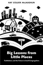 Big Lessons from Little Places