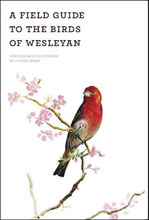 A Field Guide of the Birds of Wesleyan
