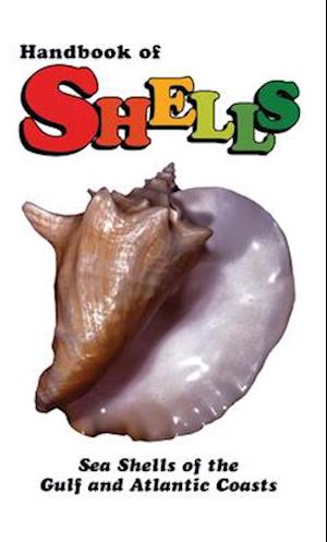 Handbook of Shells: Sea Shells of the Gulf and Atlantic Coasts