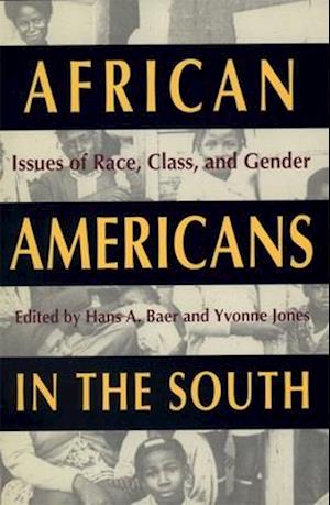 African Americans in the South: Issues of Race, Class, and Gender
