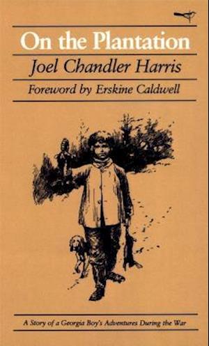 On the Plantation: A Story of a Georgia Boy's Adventures During the War