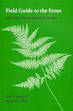 Snyder, L:  Field Guide to the Ferns