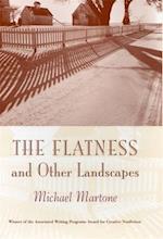 Flatness and Other Landscapes