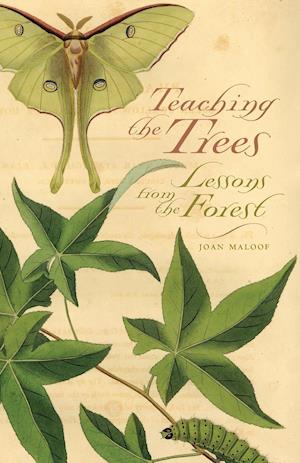 Teaching the Trees