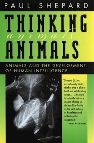 Thinking Animals