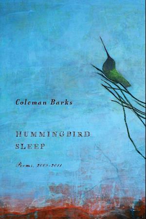 Hummingbird Sleep