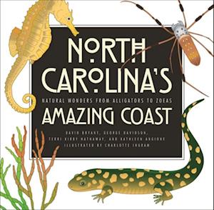 North Carolina''s Amazing Coast