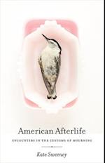 American Afterlife