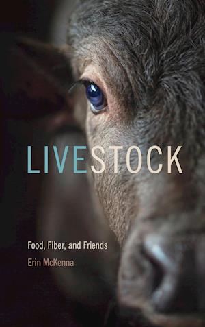 Livestock