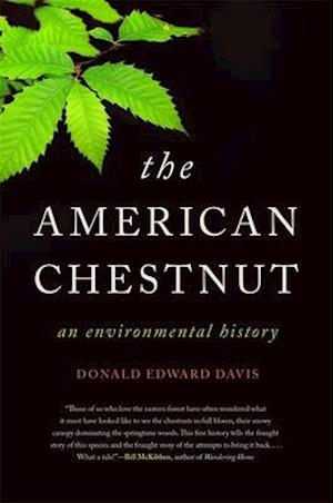 The American Chestnut