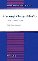 A Sociological Image of the City