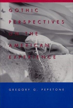 Gothic Perspectives on the American Experience