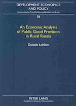 An Economic Analysis of Public Good Provision in Rural Russia