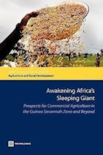 Morris, M:  Awakening Africa's Sleeping Giant