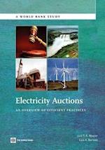 Maurer, L:  Electricity Auctions