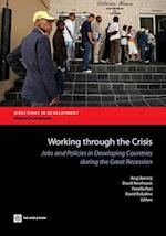 Working Through the Crisis: Jobs and Policies in Developing Countries During the Great Recession 