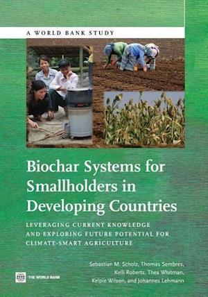 Scholz, S:  Biochar Systems for Smallholders in Developing C