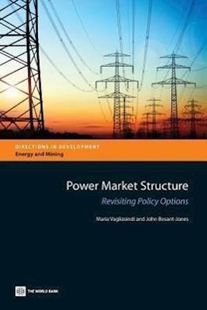Vagliasindi, M:  Power Market Structure