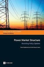 Vagliasindi, M:  Power Market Structure