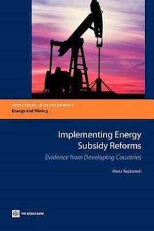 Vagliasindi, M:  Implementing Energy Subsidy Reforms