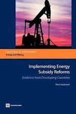 Vagliasindi, M:  Implementing Energy Subsidy Reforms