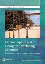 Kulichenko, N:  Carbon Capture and Storage in Developing Cou