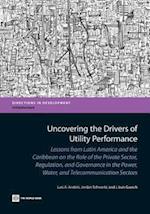 Andres, L:  Uncovering the Drivers of Utility Performance