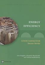 Stuggins, G:  Energy Efficiency