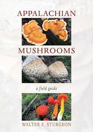 Appalachian Mushrooms